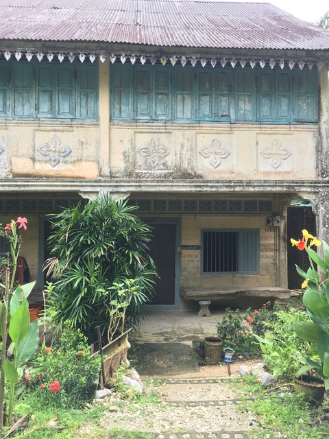 Weathered building facade with tropical plants.