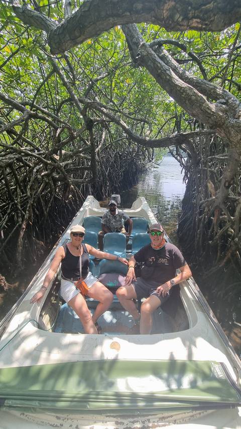 People in a boat navigating through mangroves.
