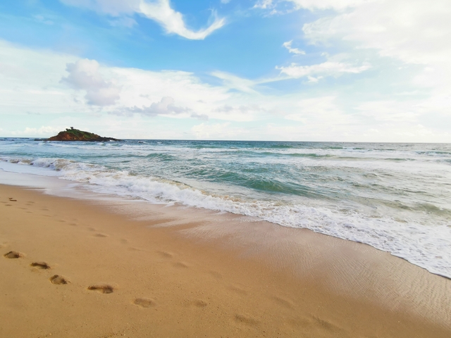 Footprints on a sandy beach with gentle waves.