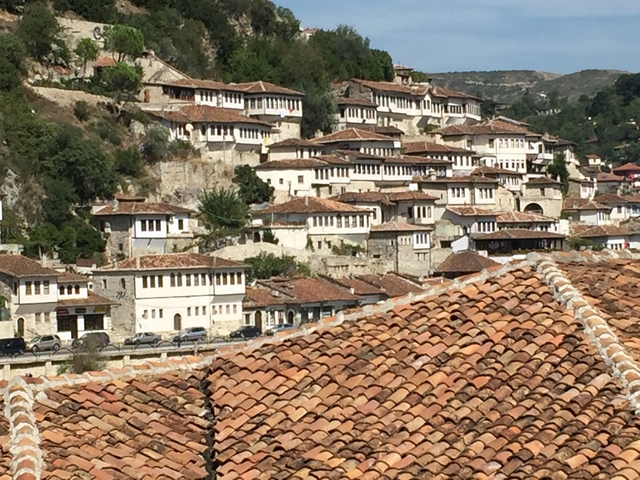 Close-up view of traditional houses on a hillside.