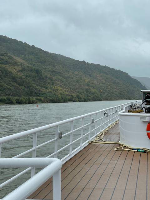 View from a cruise deck overlooking trees and water.