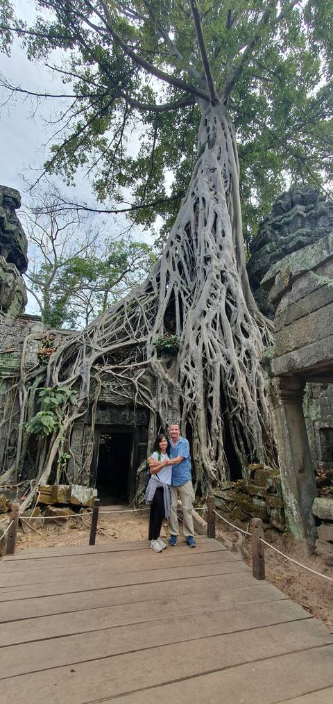 A tree growing over ancient temple ruins.