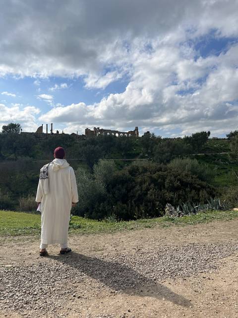 Person overlooking ancient ruins