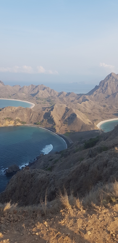 Aerial view of Komodo Island coastline with beaches.