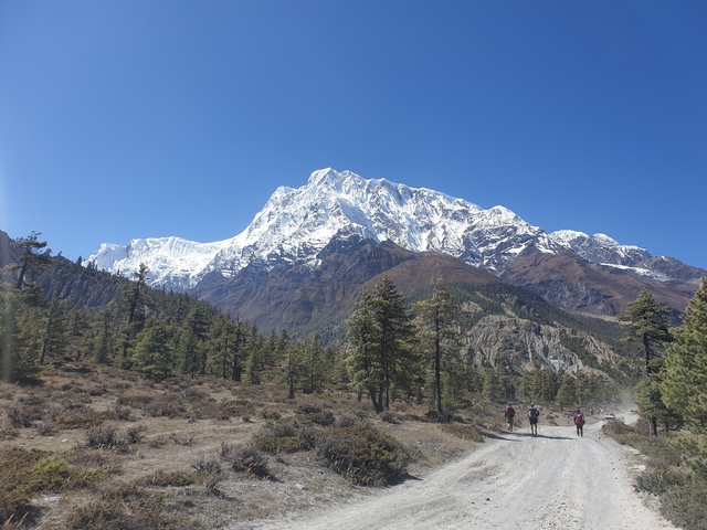Three people hiking towards majestic snow-capped mountains.