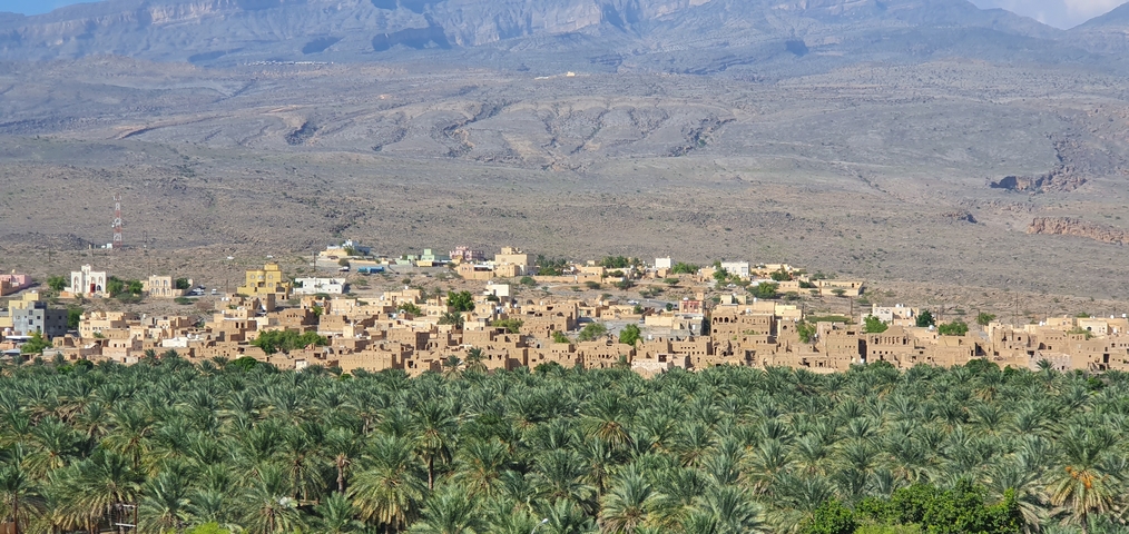 A town with traditional buildings and palm trees nestled in the mountains.