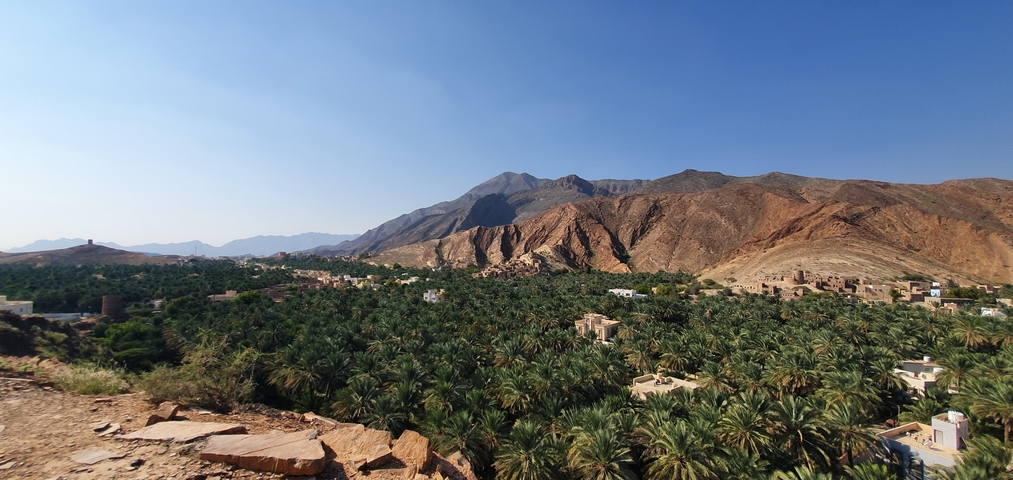 Oasis in the foreground with mountains in the background.