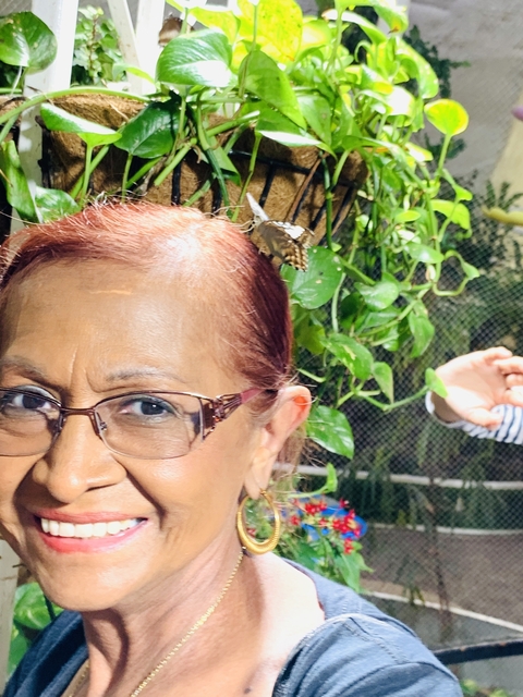 Close-up of a person with a butterfly in an indoor garden.