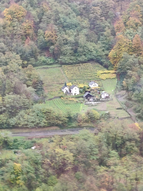 Aerial view of a small village with fields.