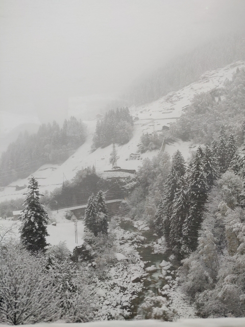 Snowy forest and hillside with power lines.