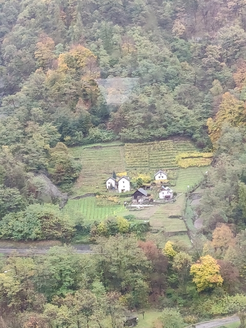 Distant view of small houses surrounded by terraced fields.