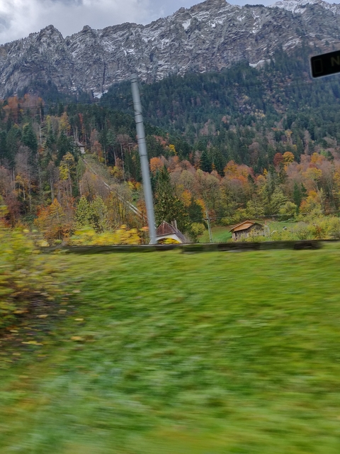Blurry photo of a countryside view with autumn trees.