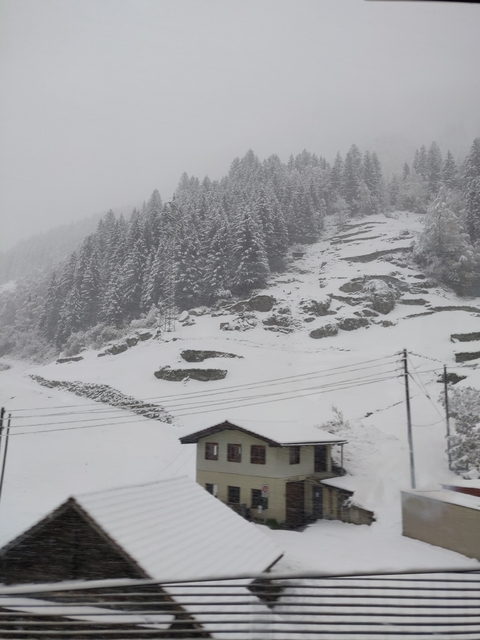 Snowy mountain landscape with trees and power lines.