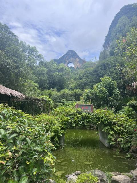 Scenic landscape with trees and distant rock formations.