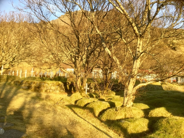 A graveyard with tree-covered mounds and crosses.