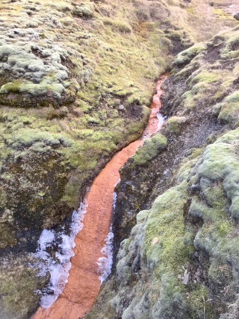 A narrow stream flowing through moss-covered terrain.
