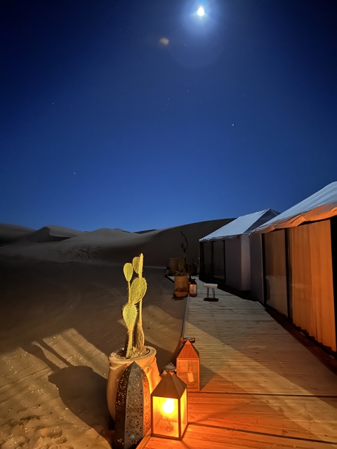 Desert camp at night with tents and cactus.