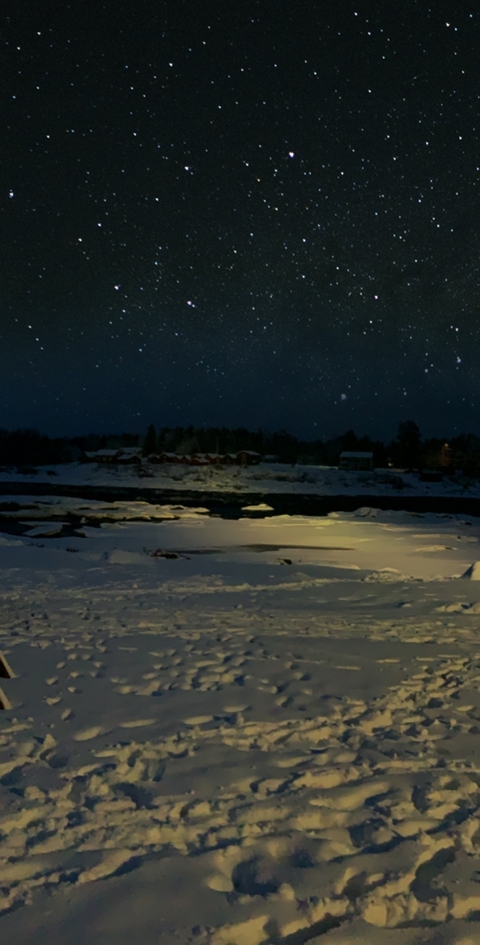 Snowy landscape under a starry night sky.