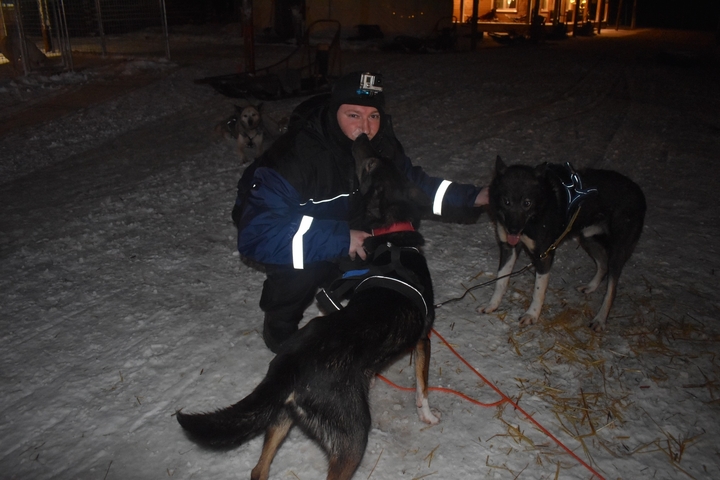 Person petting sled dogs at night.