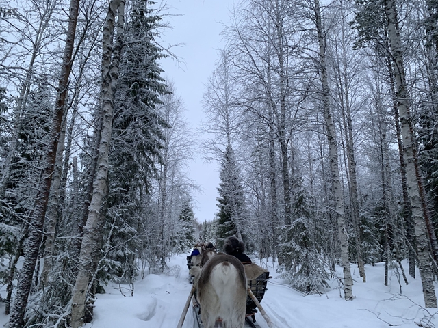 Horseback riding on a snowy path through a forest.