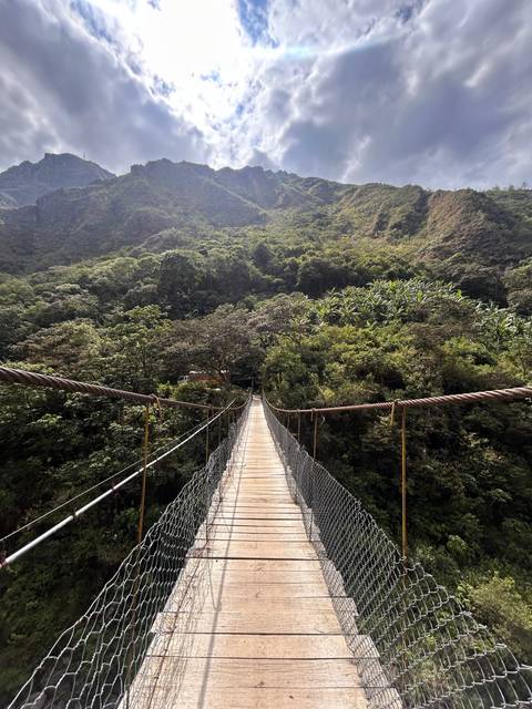 Suspension bridge over a forested valley
