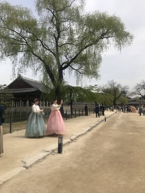 Two people in traditional dress walking on a path with a large tree.