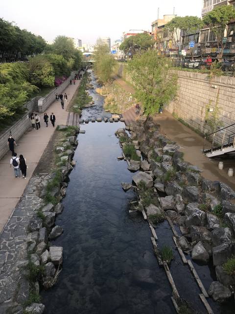 Scenic view of a river with a walking path and trees lining it.