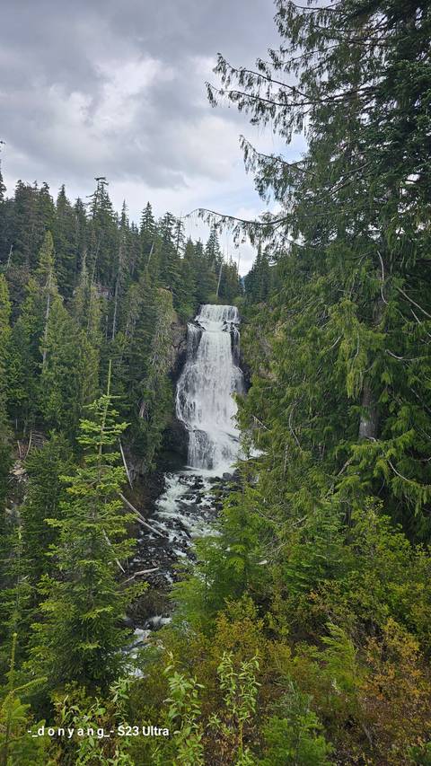 A scenic waterfall surrounded by dense greenery and trees.
