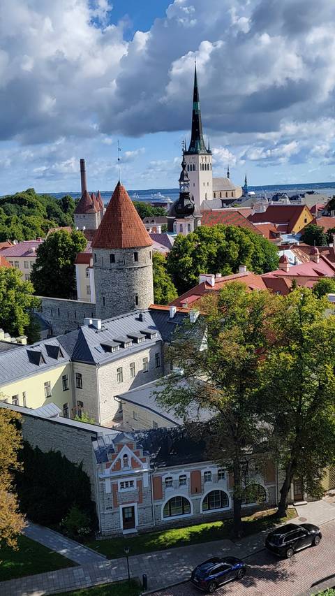Scenic view of a city with towers and trees.