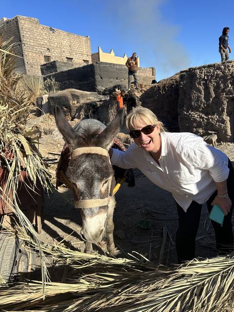 A person interacting with a donkey in a rustic environment.