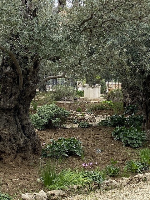 Garden with trees and a stone structure.