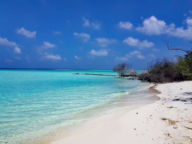 Pristine beach with clear turquoise waters and blue sky.