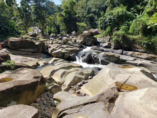 Rocks and a small waterfall in a forest setting.