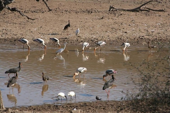 Yoga, Ganges & Taj Mahal Luxury India Tour customer review photo