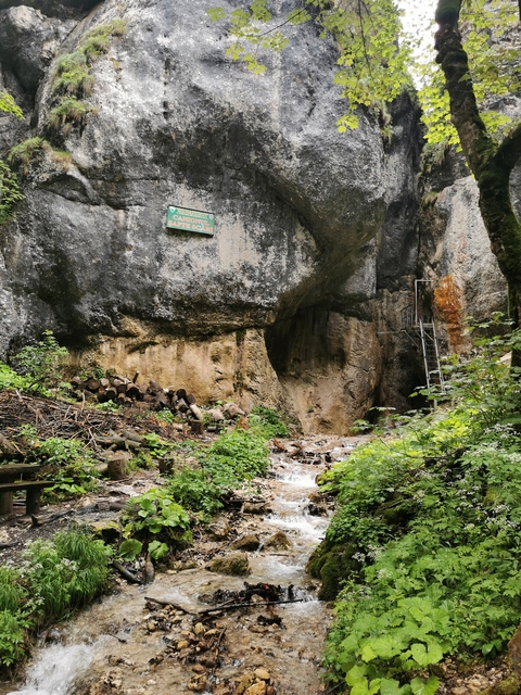 A rocky river path with stacked logs and a ladder leading to a cave entrance.