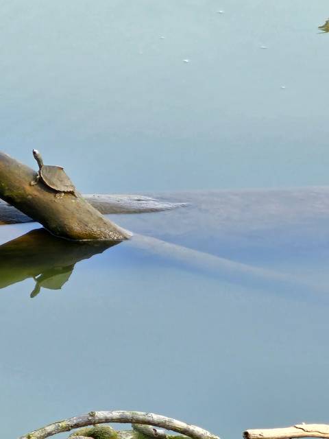 Blurred image of a boat on a river with its reflection.