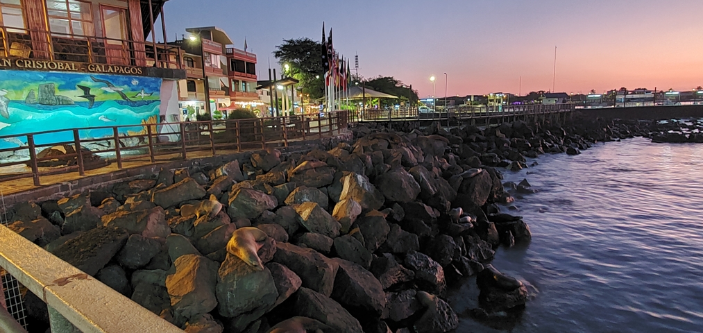 Seaside promenade with sea lions on rocks at sunset.