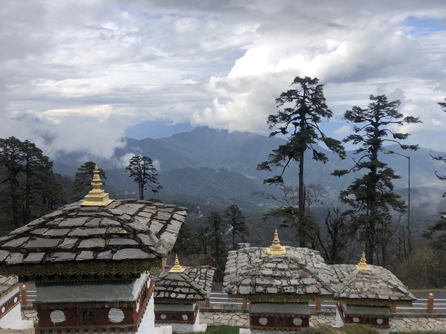 Mountain panorama with misty valleys framed by tall pine trees and stone chortens topped with golden spires.