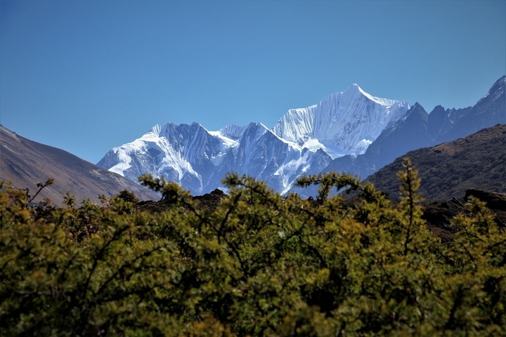 Crisp snow-covered peaks of the Annapurna range rising sharply against a deep blue sky above green shrubbery.