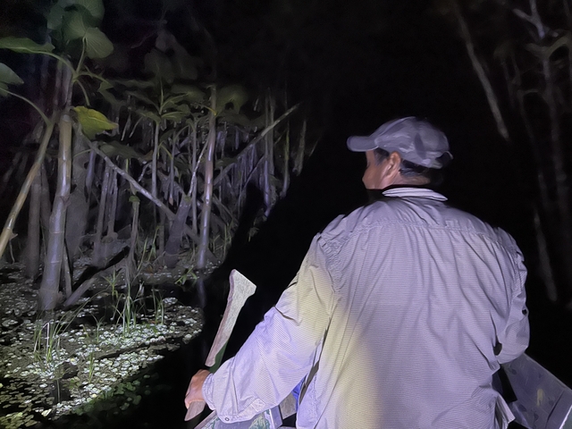 Person with a hat and axe in a forest at night.