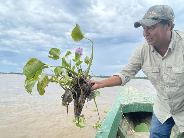 Man holding a water plant in a boat on a river.
