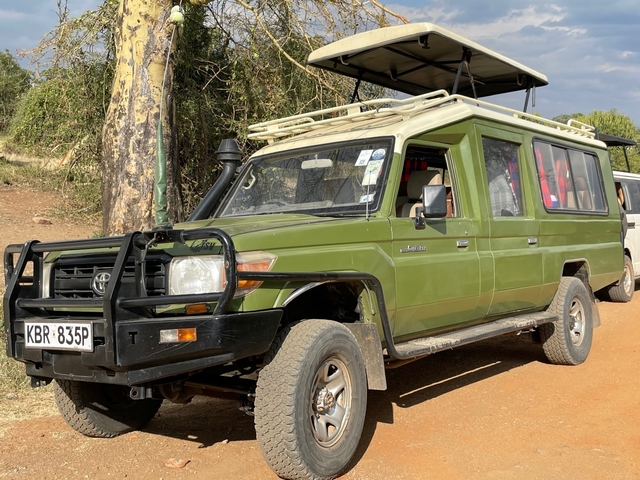 Green safari vehicle parked under a tree.