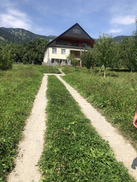 Rotated image of a green path leading to a country house.