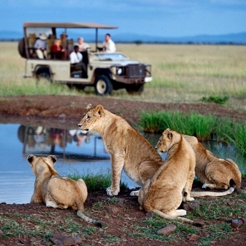 Photo d'avis client sur Safari en camping de 4 jours dans les parcs nationaux du Tarangire, du Ngorongoro et du Serengeti