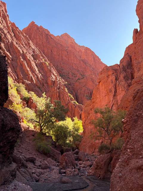 Red rock canyon with green vegetation.