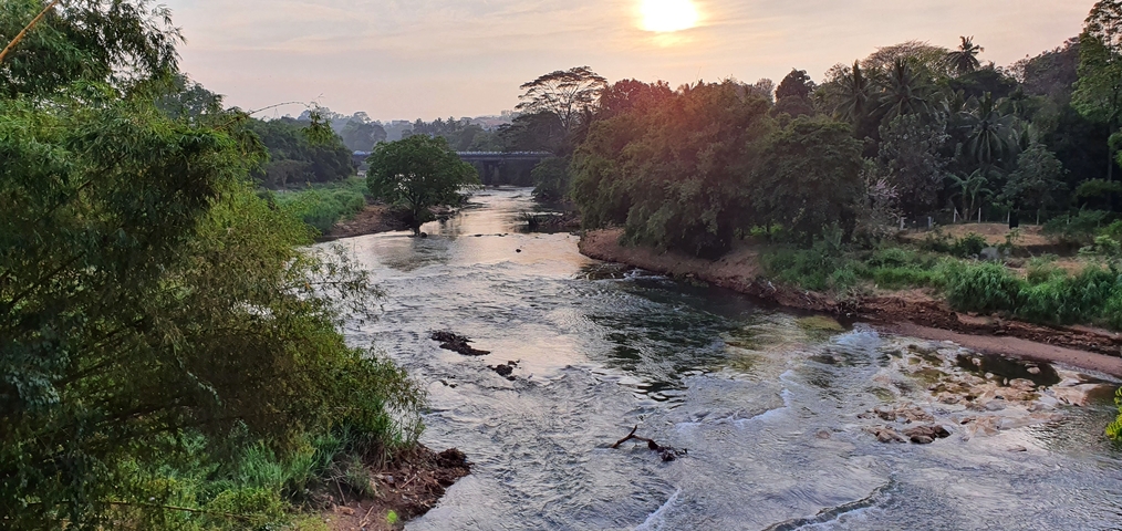 A serene river flowing through lush greenery with a setting sun.