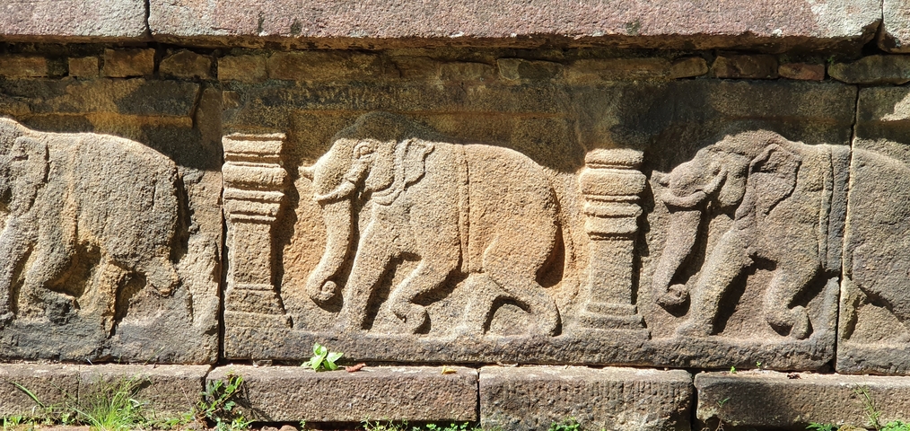 Ancient stone carvings of elephants on a historical site wall.