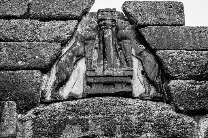 Close-up of ancient stone carvings featuring lions.