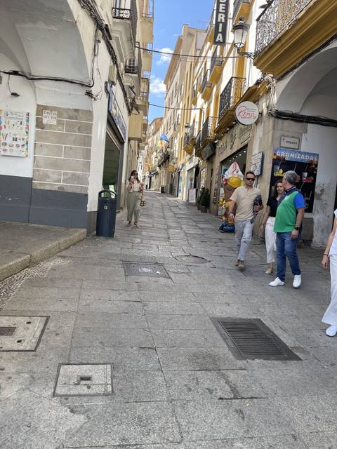 People walking down a street lined with buildings.