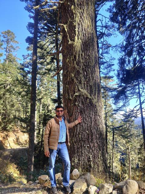 Person hugging a large tree trunk in the forest.